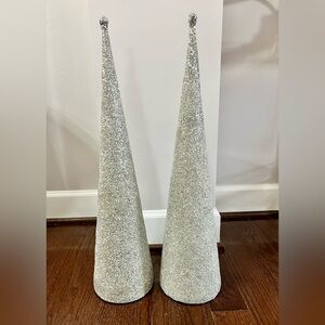 Elegant Silver Beaded Cone Set